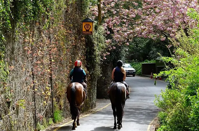 Chateau La Chaire Rozel