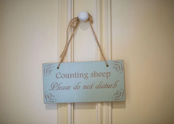 Chateau La Chaire 4*